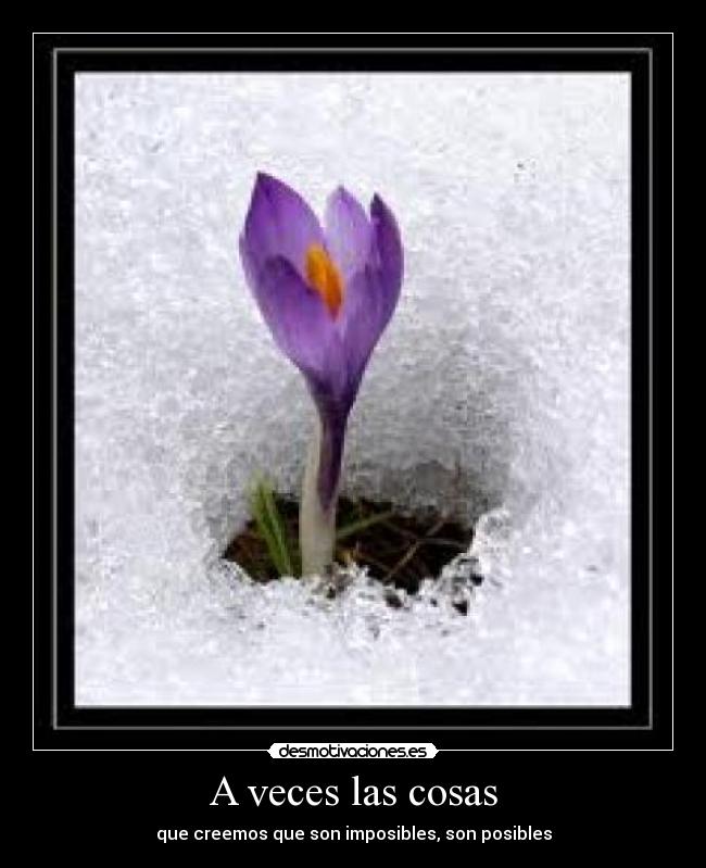 A veces las cosas - que creemos que son imposibles, son posibles