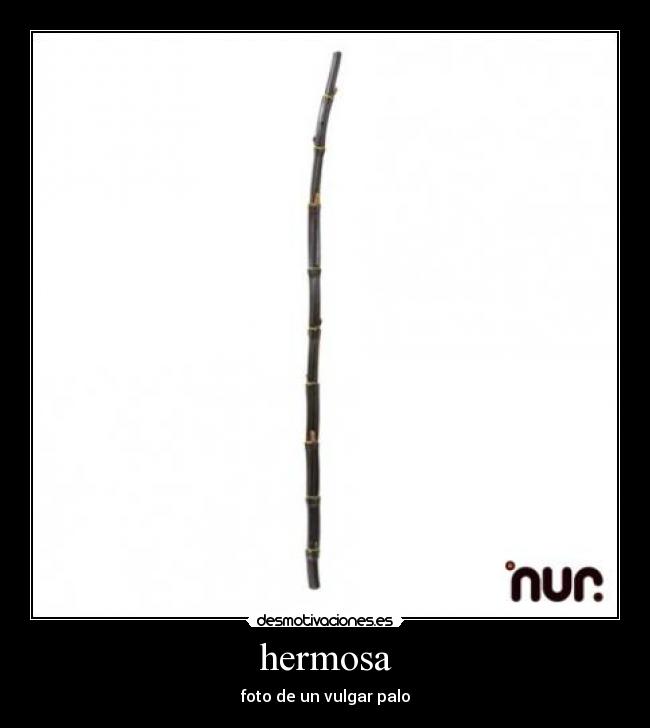 hermosa - foto de un vulgar palo