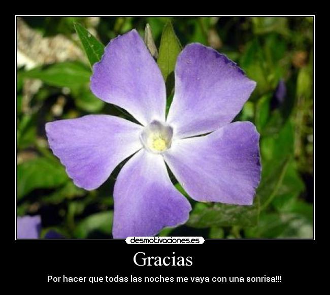 Gracias  - Por hacer que todas las noches me vaya con una sonrisa!!! 