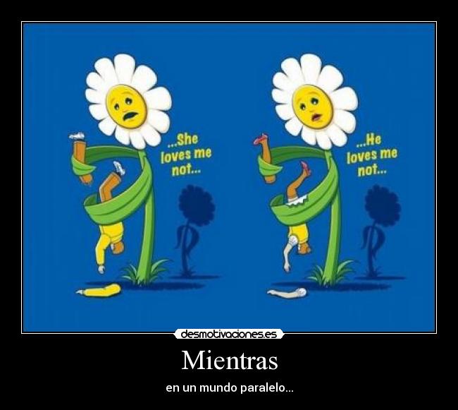 Mientras - en un mundo paralelo...