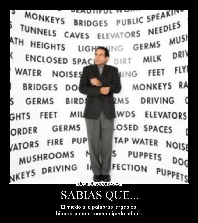 SABIAS QUE... - El miedo a la palabras largas es
hipopotomonstrosesquipedaliofobia