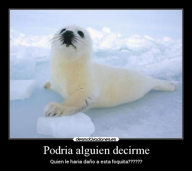 Podria alguien decirme -