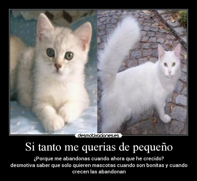 Si tanto me querias de pequeño -