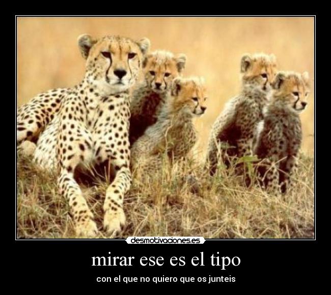 mirar ese es el tipo - con el que no quiero que os junteis