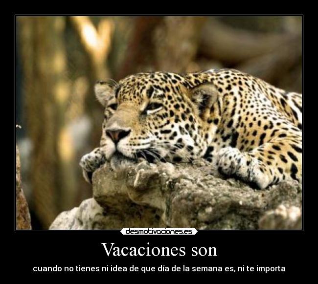 Vacaciones son - 