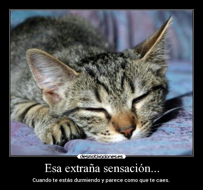 Esa extraña sensación... -