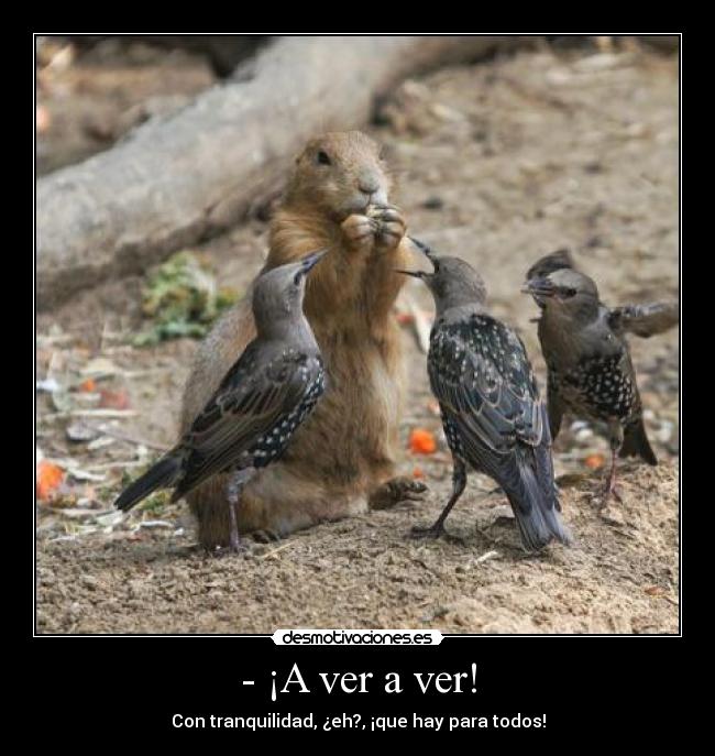 - ¡A ver a ver! - Con tranquilidad, ¿eh?, ¡que hay para todos!