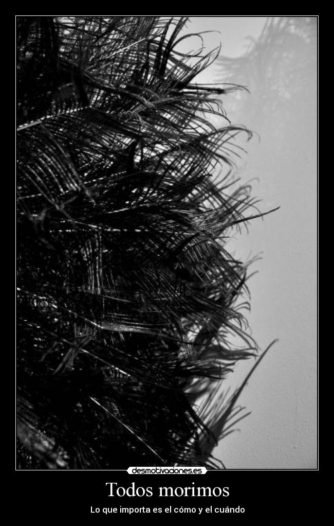 Todos morimos - Lo que importa es el cómo y el cuándo