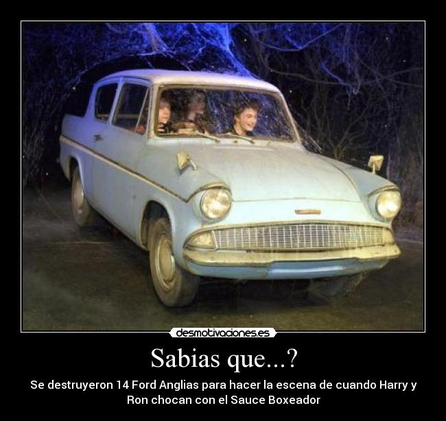 Sabias que...? - Se destruyeron 14 Ford Anglias para hacer la escena de cuando Harry y
Ron chocan con el Sauce Boxeador