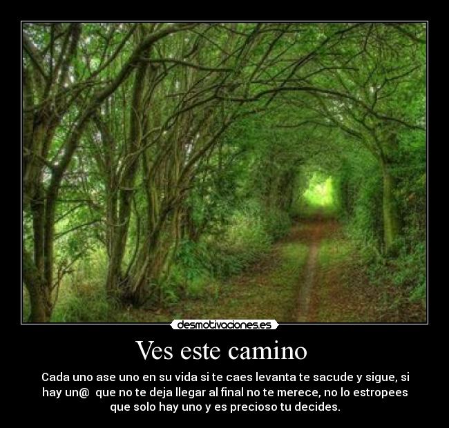 Ves este camino -