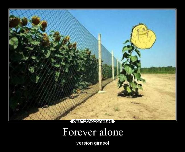 carteles forever alone girasol desmotivaciones