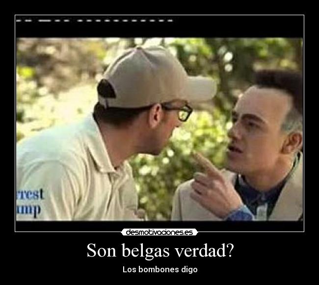 Son belgas verdad? - Los bombones digo