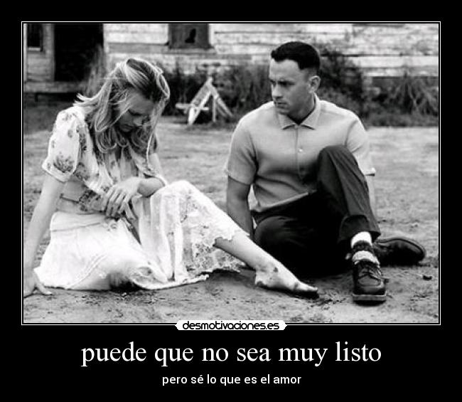 puede que no sea muy listo - pero sé lo que es el amor