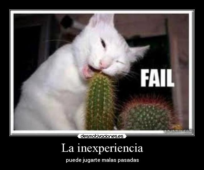 La inexperiencia -