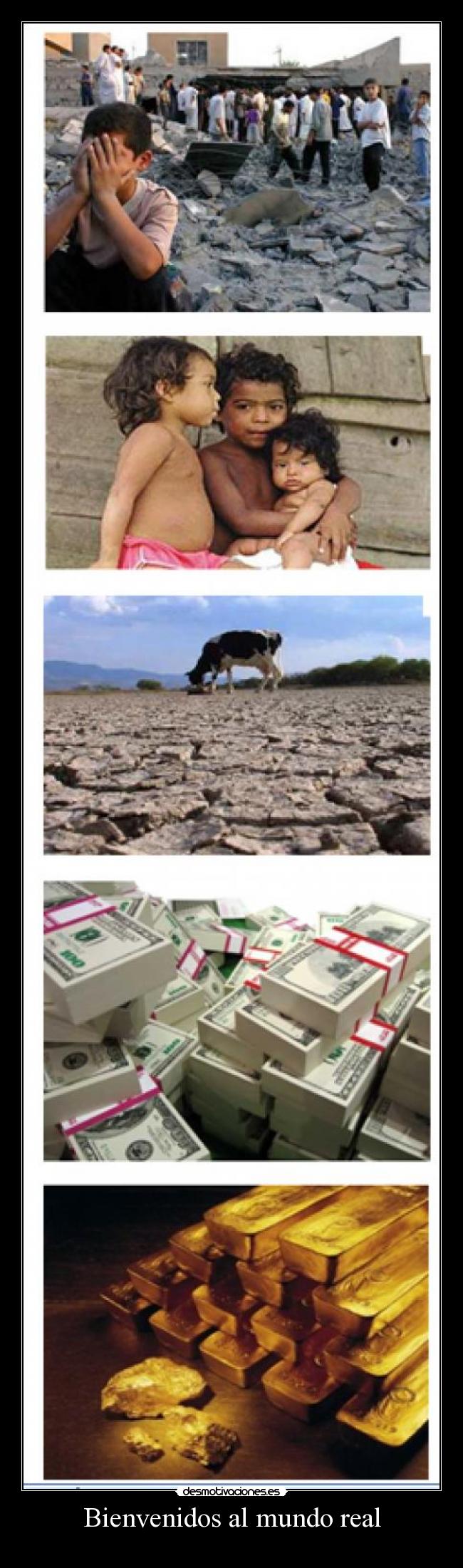 Bienvenidos al mundo real -
