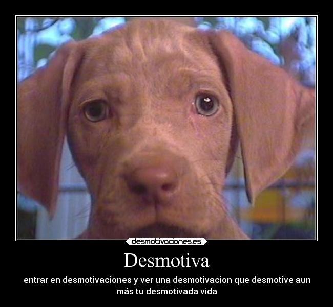 Desmotiva - entrar en desmotivaciones y ver una desmotivacion que desmotive aun
más tu desmotivada vida