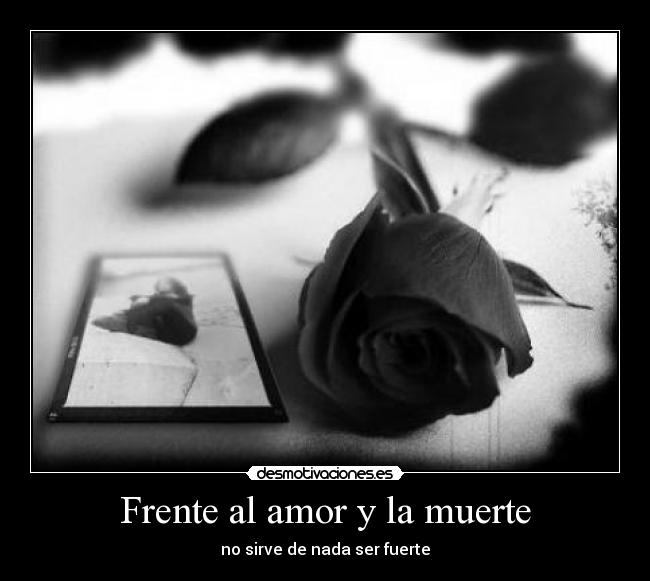 carteles amor muerte desmotivaciones