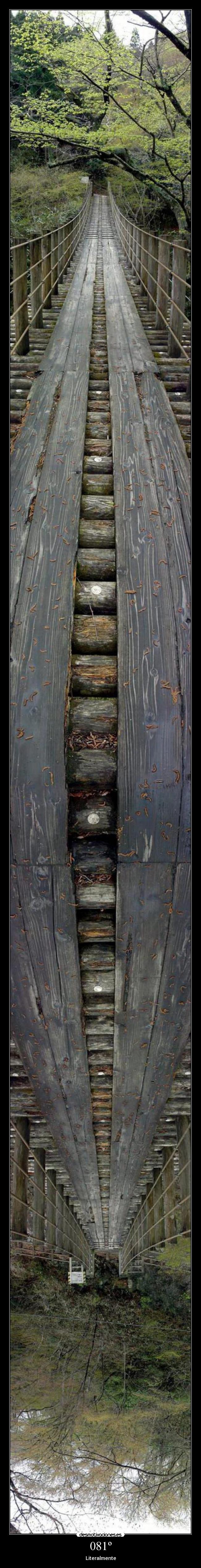 081º - Literalmente