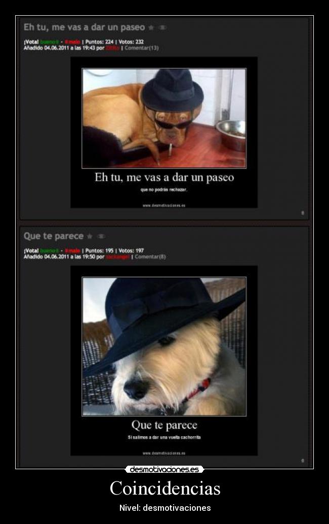 Coincidencias - Nivel: desmotivaciones