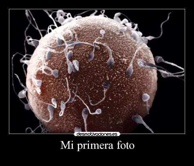 Mi primera foto -