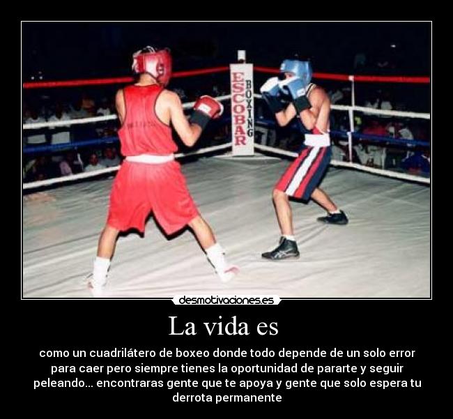 La vida es - como un cuadrilátero de boxeo donde todo depende de un solo error
para caer pero siempre tienes la oportunidad de pararte y seguir
peleando... encontraras gente que te apoya y gente que solo espera tu
derrota permanente