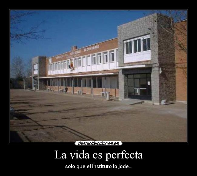 La vida es perfecta - solo que el instituto lo jode...