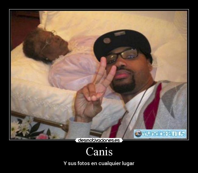 Canis - Y sus fotos en cualquier lugar