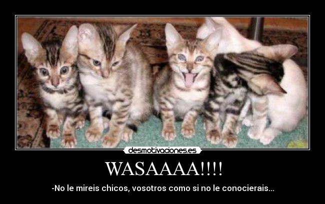 WASAAAA!!!! - 