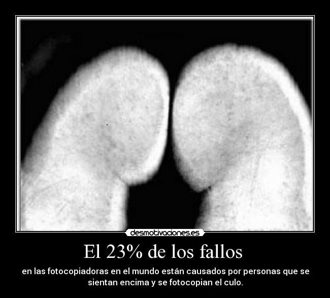 El 23% de los fallos  - 