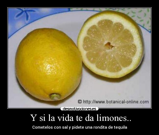 Y si la vida te da limones.. -