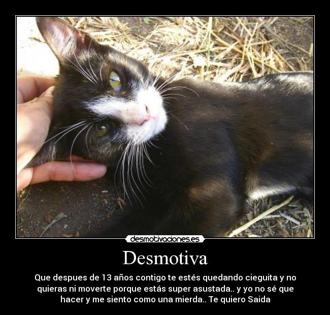 Desmotiva - 