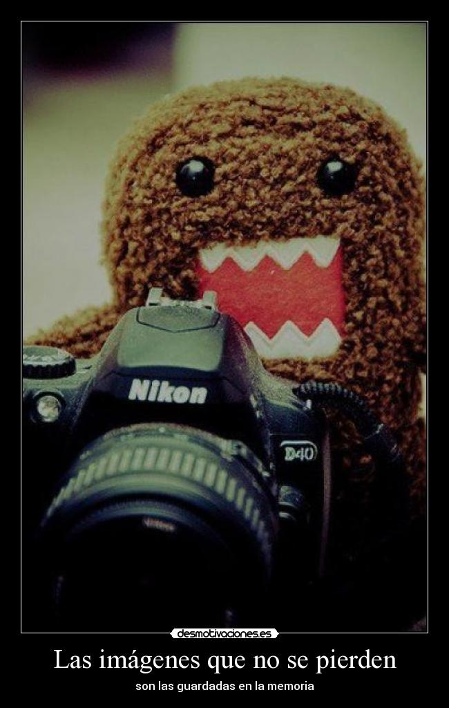 Las imágenes que no se pierden - son las guardadas en la memoria