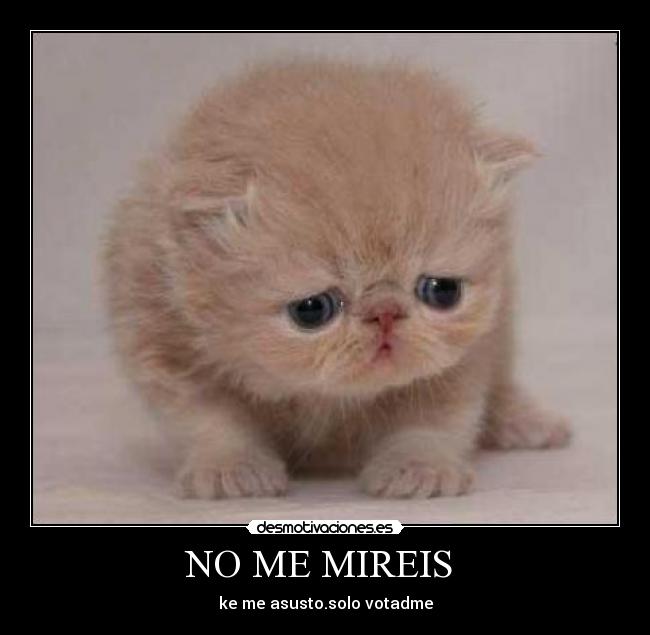 NO ME MIREIS  - 