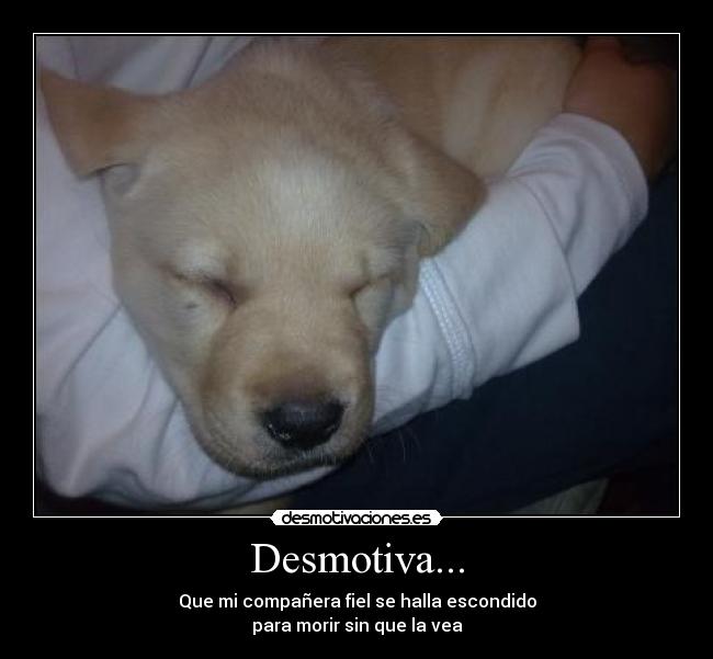 Desmotiva... -