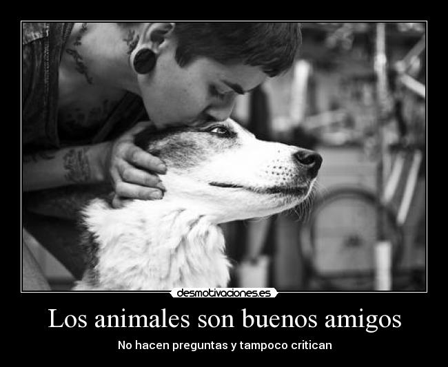 Los animales son buenos amigos -