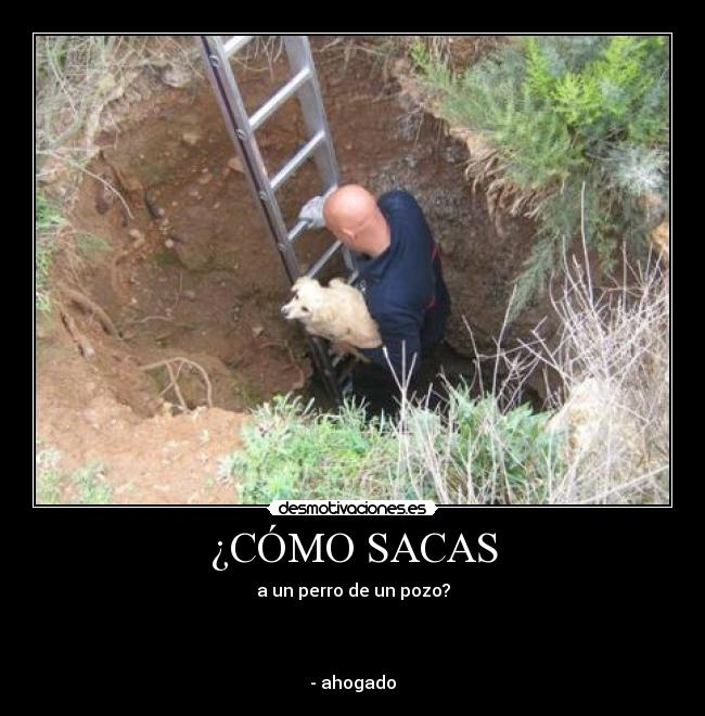 ¿CÓMO SACAS -