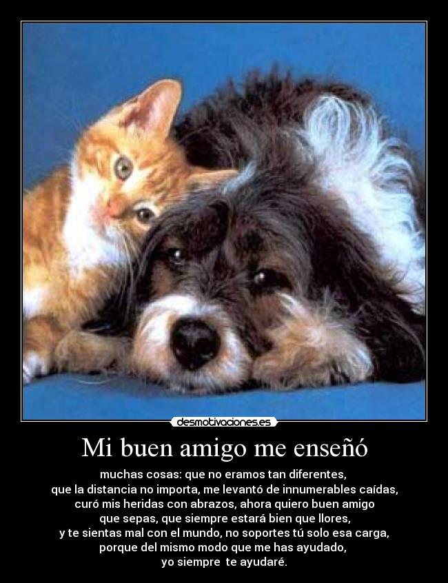 Mi buen amigo me enseñó - muchas cosas: que no eramos tan diferentes, 
que la distancia no importa, me levantó de innumerables caídas,
curó mis heridas con abrazos, ahora quiero buen amigo
que sepas, que siempre estará bien que llores,
y te sientas mal con el mundo, no soportes tú solo esa carga,
porque del mismo modo que me has ayudado, 
yo siempre  te ayudaré.