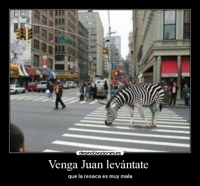 Venga Juan levántate  - 