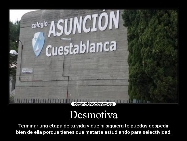 Desmotiva - Terminar una etapa de tu vida y que ni siquiera te puedas despedir
bien de ella porque tienes que matarte estudiando para selectividad.