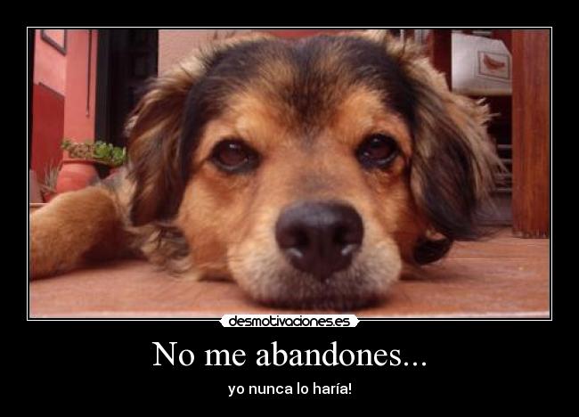 No me abandones... - yo nunca lo haría!