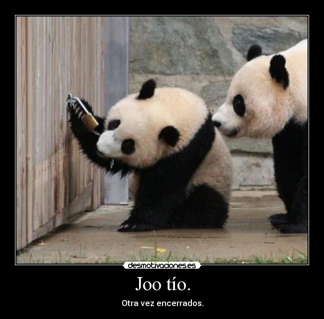 Joo tío. - Otra vez encerrados.
