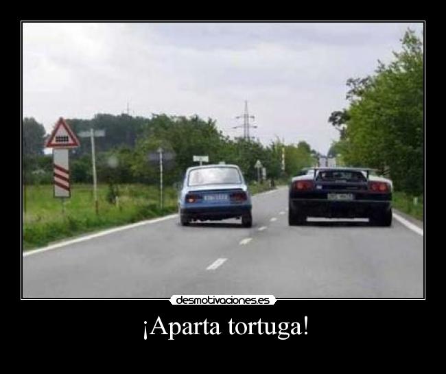 ¡Aparta tortuga! -