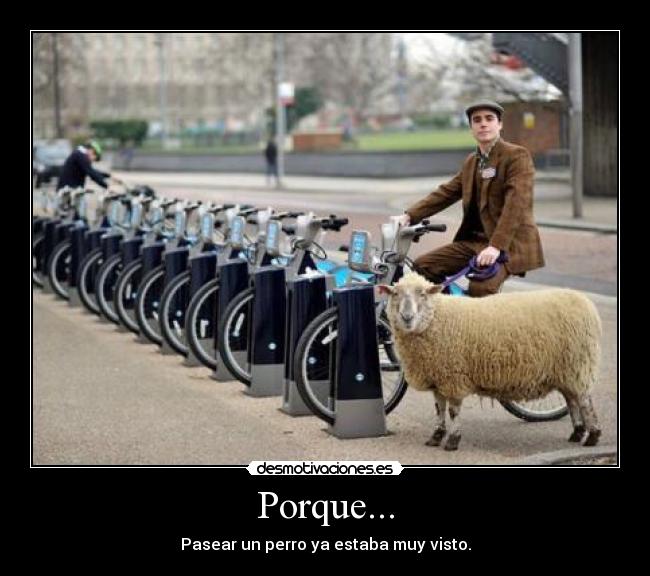 Porque... -
