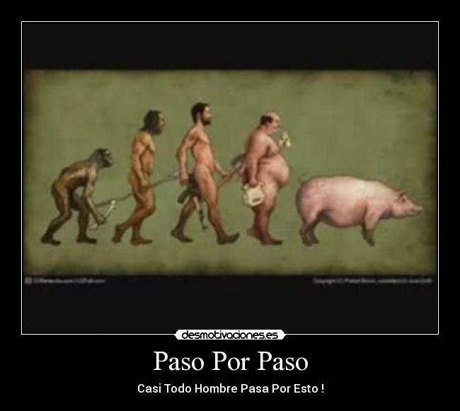 Paso Por Paso - 