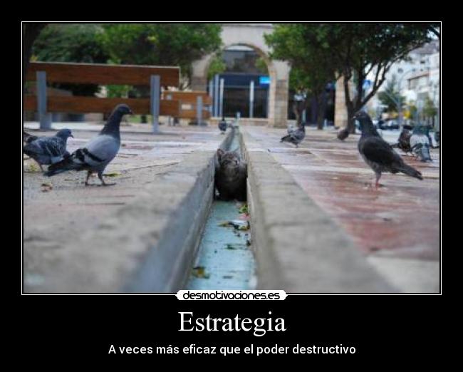 Estrategia - 