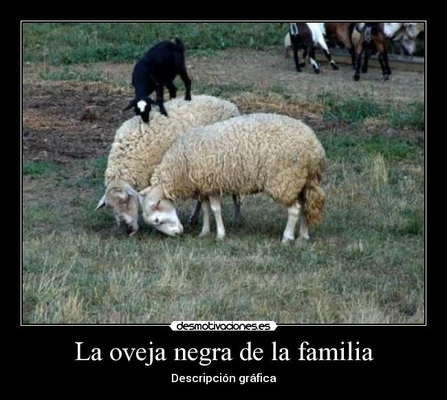 La oveja negra de la familia - 