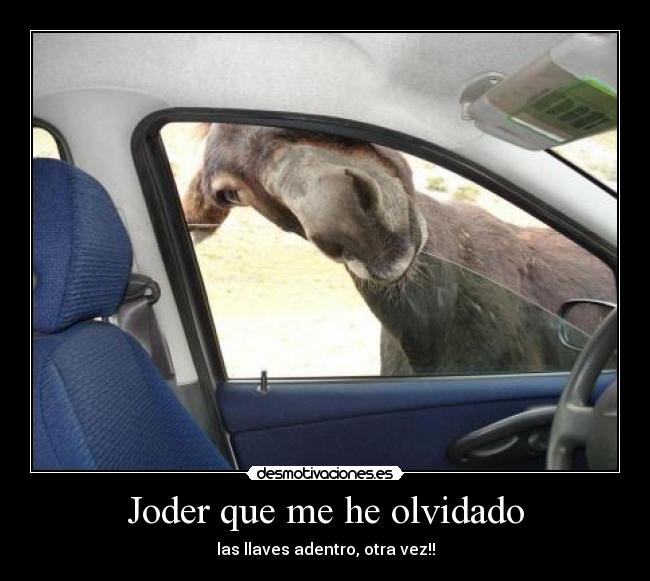 im-genes-y-carteles-de-sdfdsfdsf-desmotivaciones