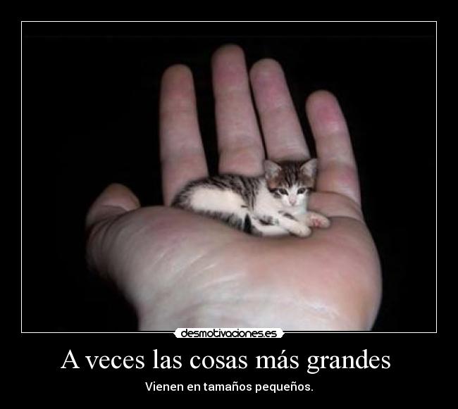 A veces las cosas más grandes -