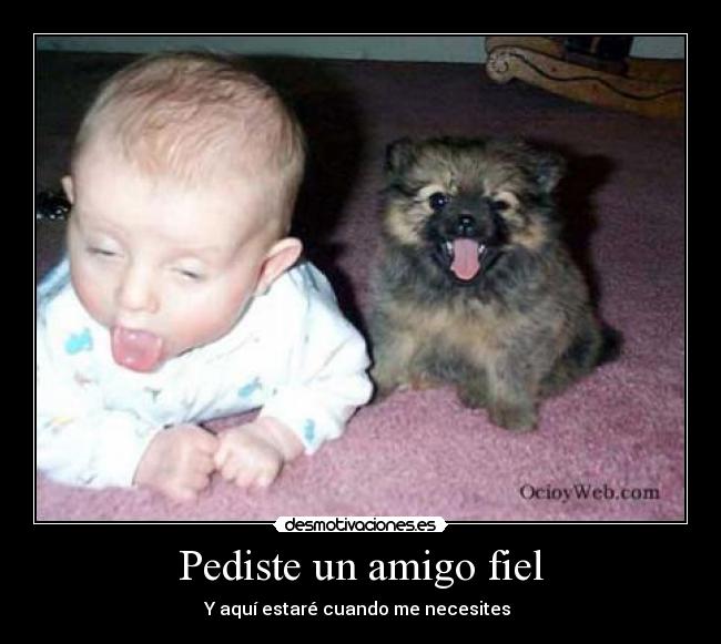 Pediste un amigo fiel - Y aquí estaré cuando me necesites