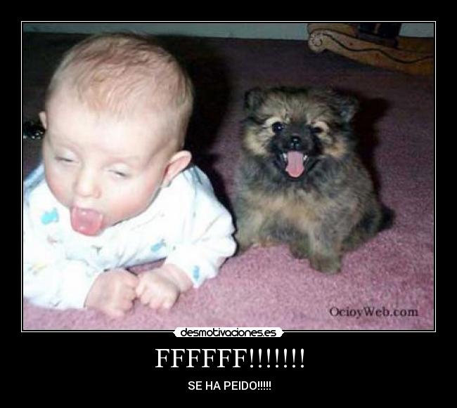 FFFFFF!!!!!!! - SE HA PEIDO!!!!!